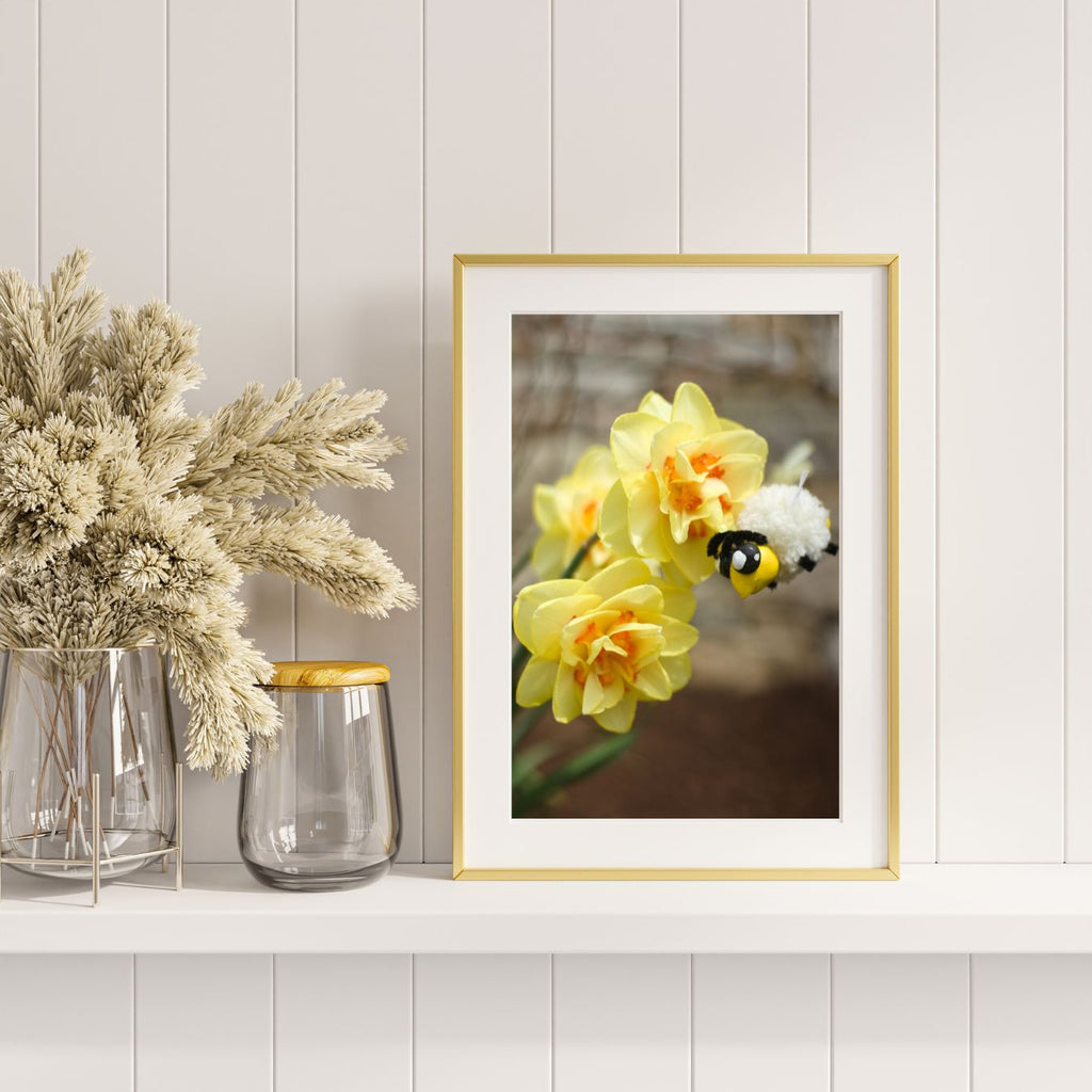 Bumbollen With Daffodils 8x10