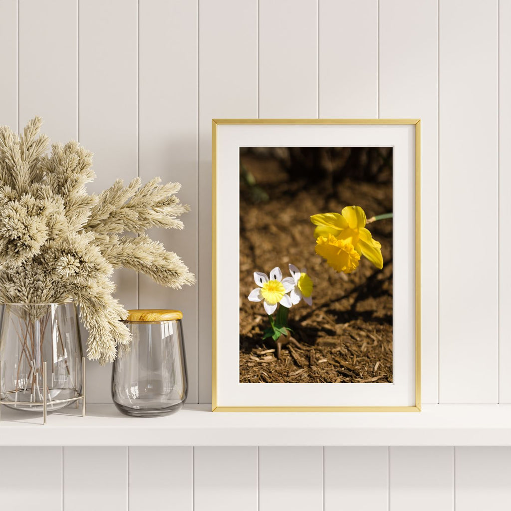 Daffoduo Visiting Relatives 8x10