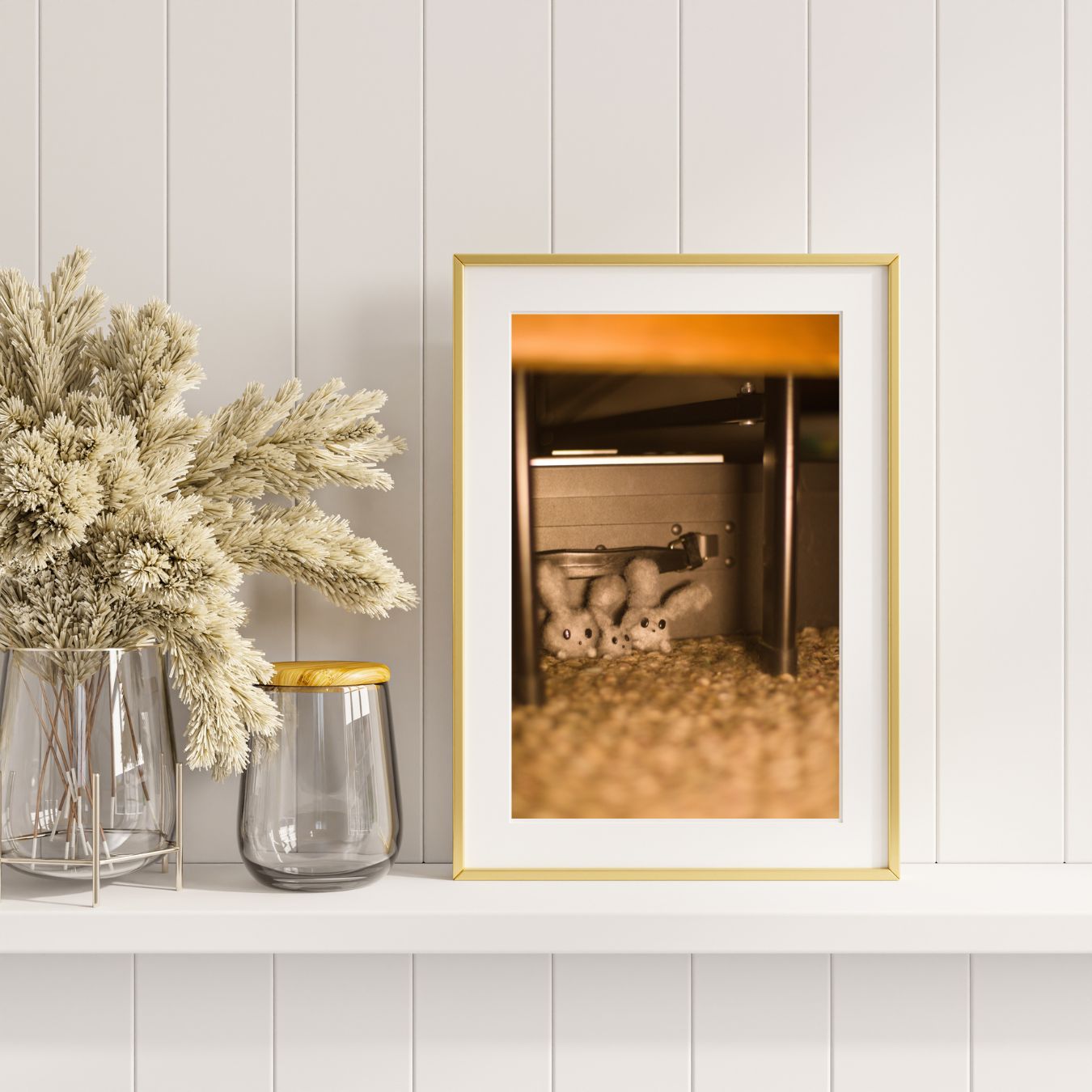 A Family of Rabbusts Hiding 8x10