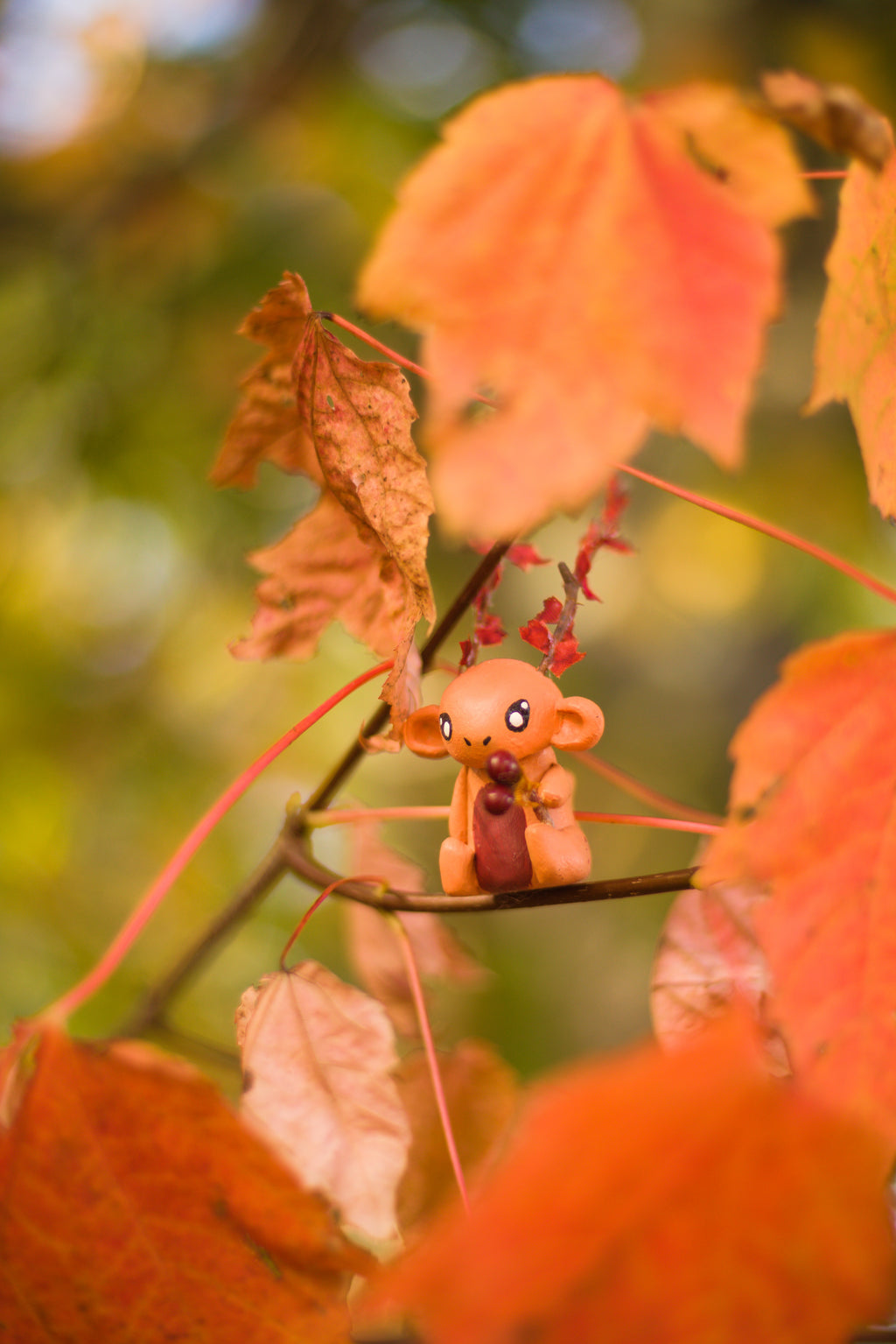Florander Sits on Branch