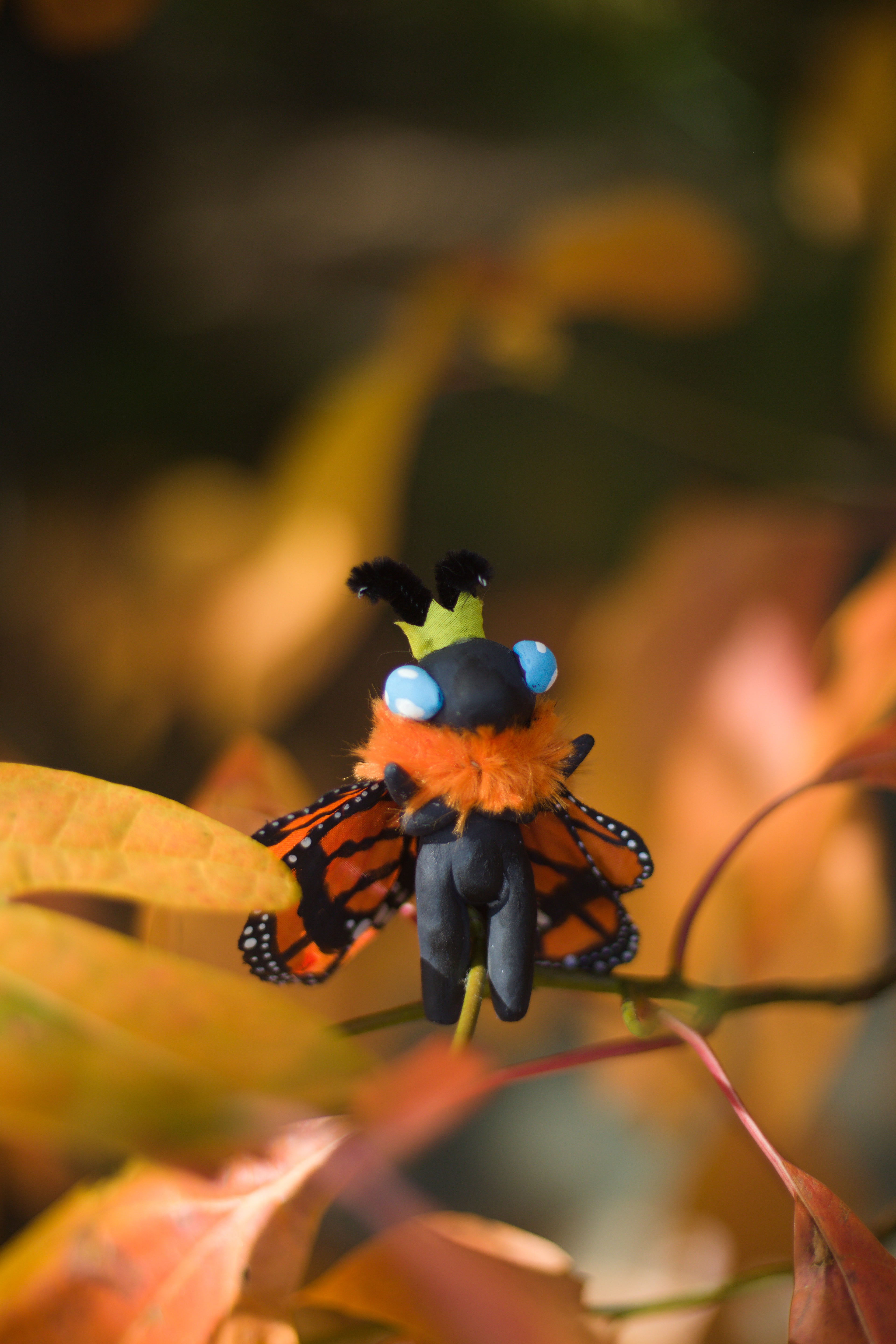 Monarckly Stands Proud