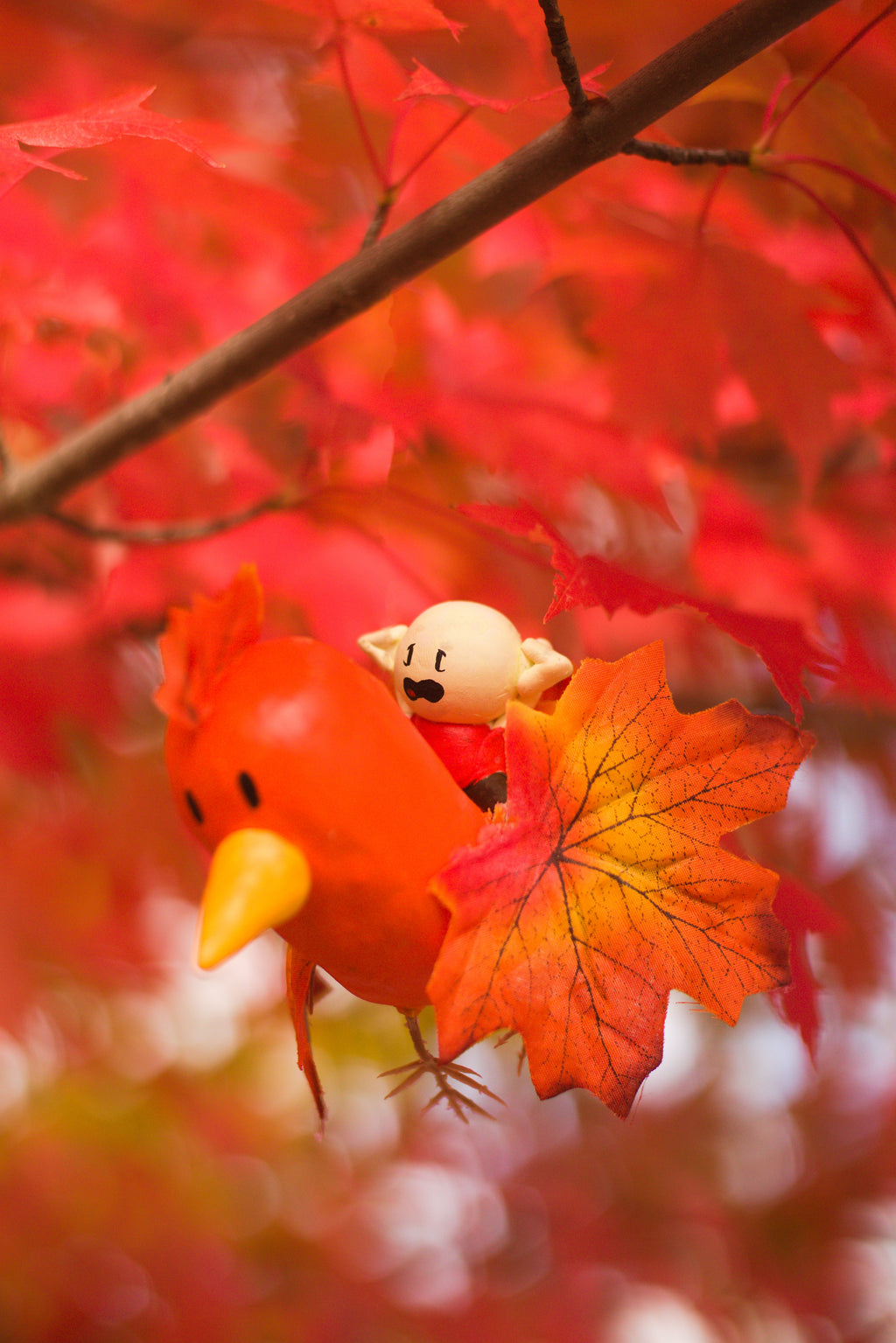 Panicked Pixae on a Warbleaf 8x10