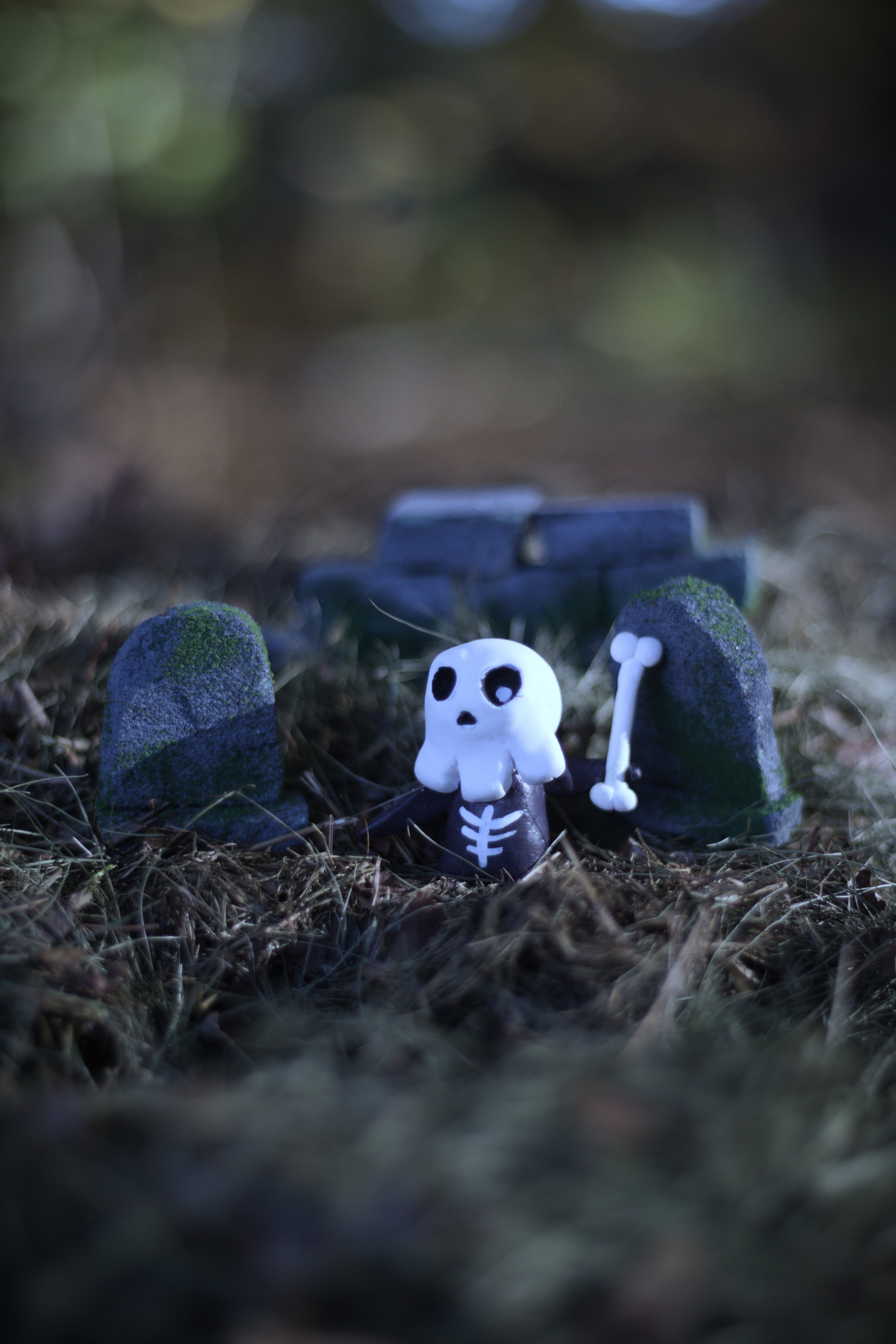 Skeletoone in the Graveyard