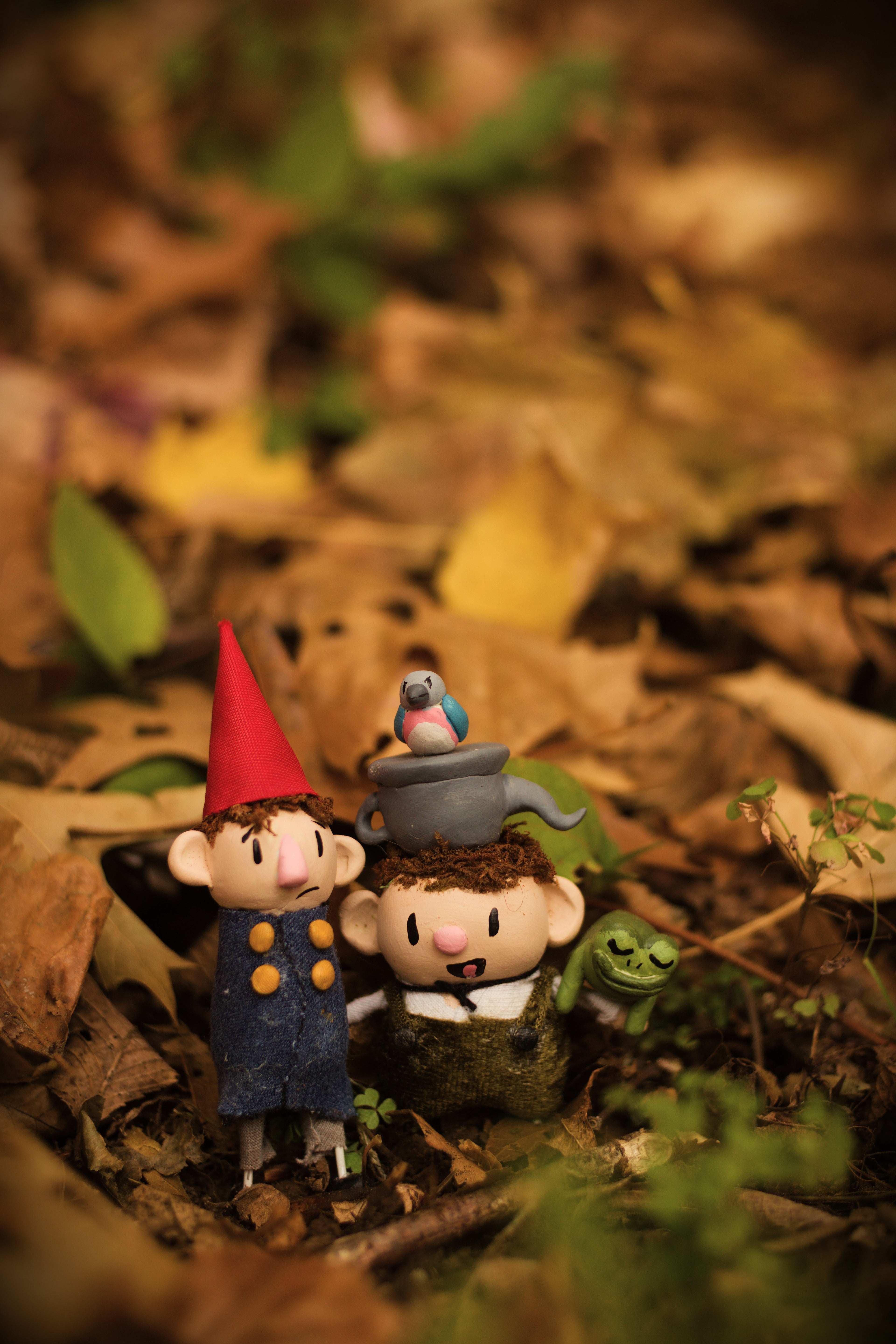 Over the Garden Wall