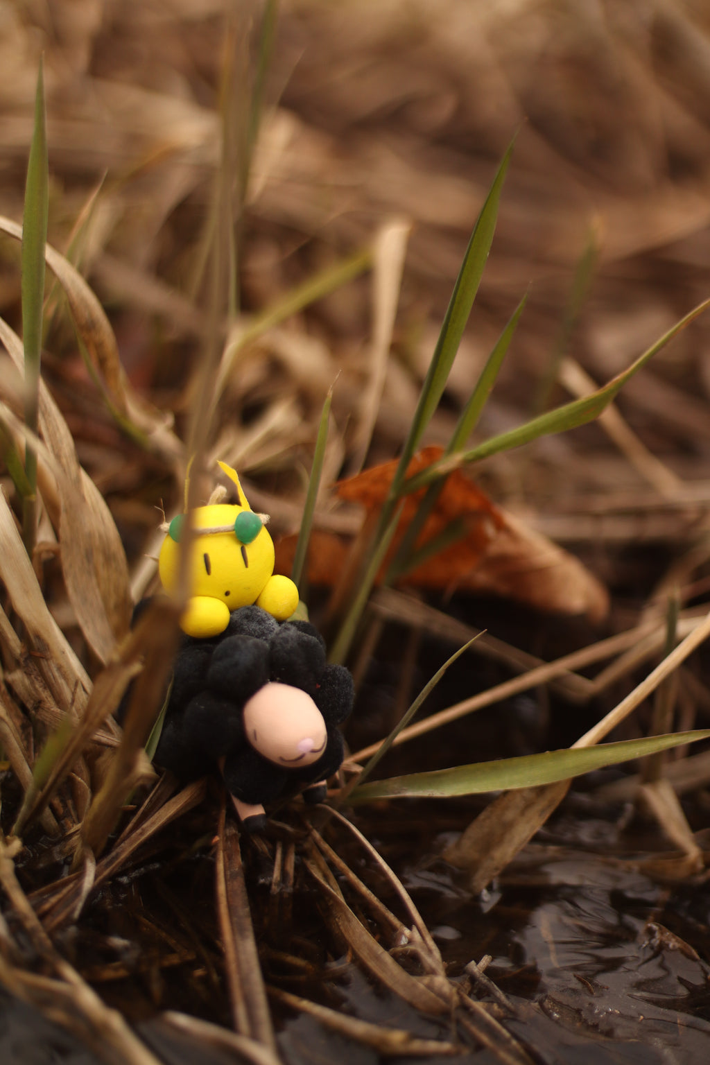 Thundeep and Sparkling Emerge After Storm 8x10