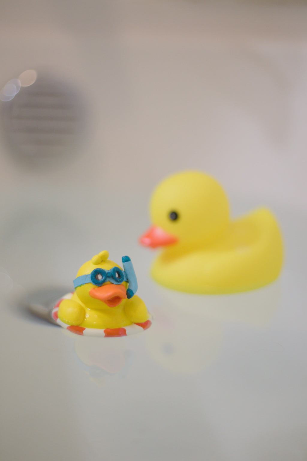 Tubertuck Learns to Swim 8x10