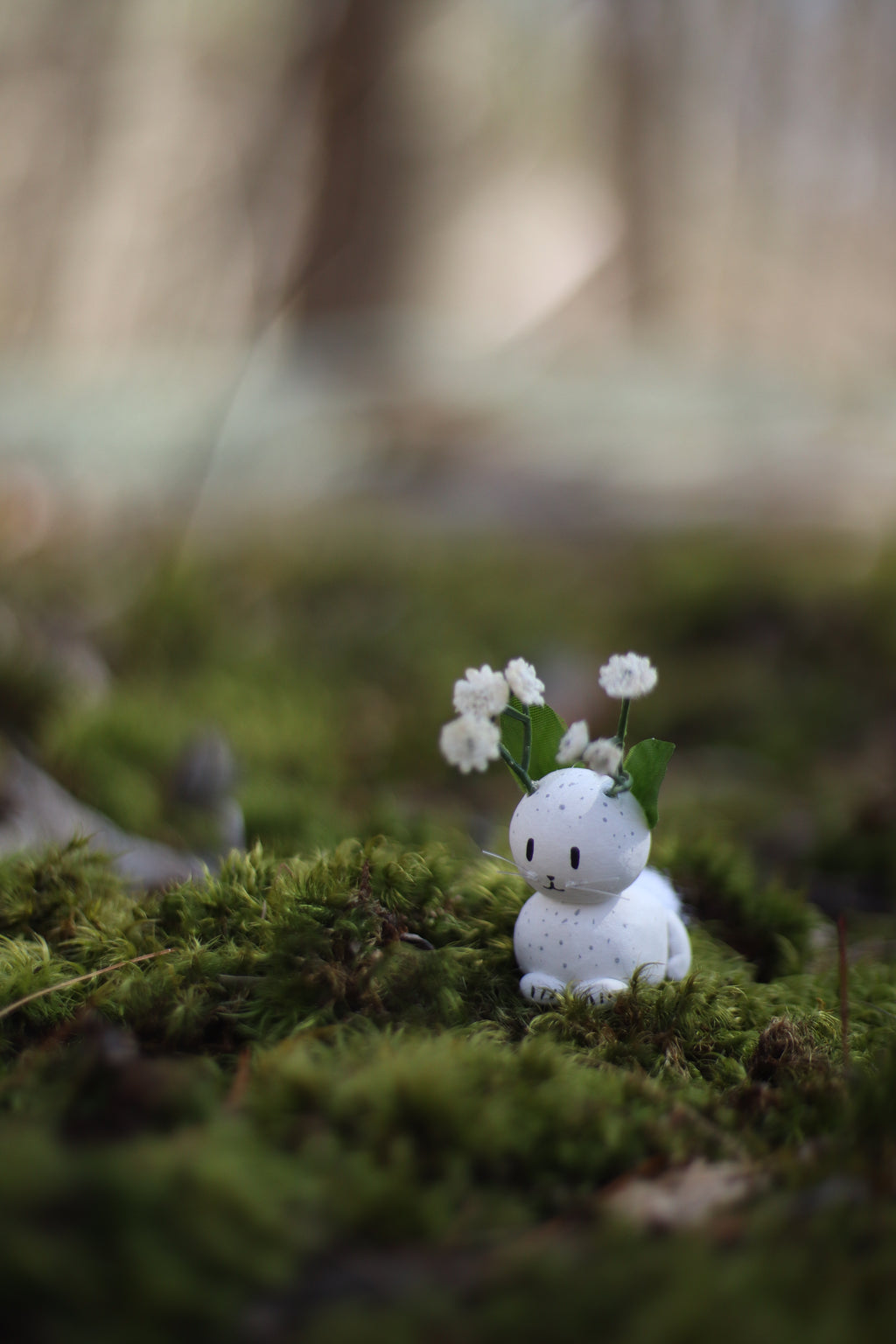 Jackalace Resting in Moss 8x10