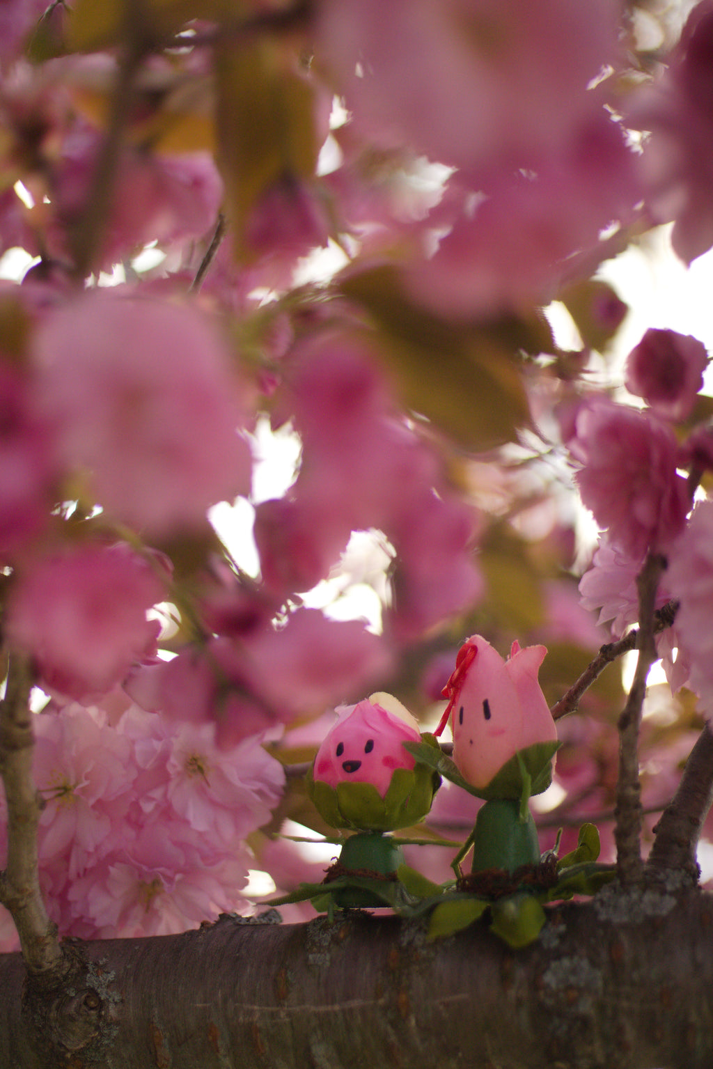 Spring Collection Postcards