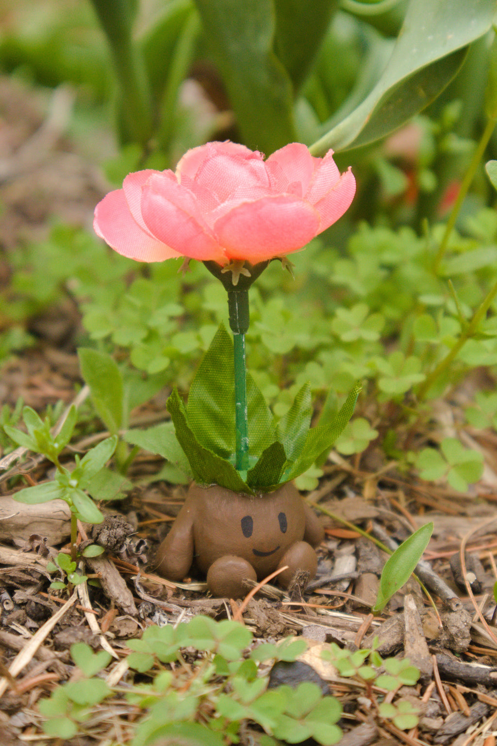 Spring Collection Postcards