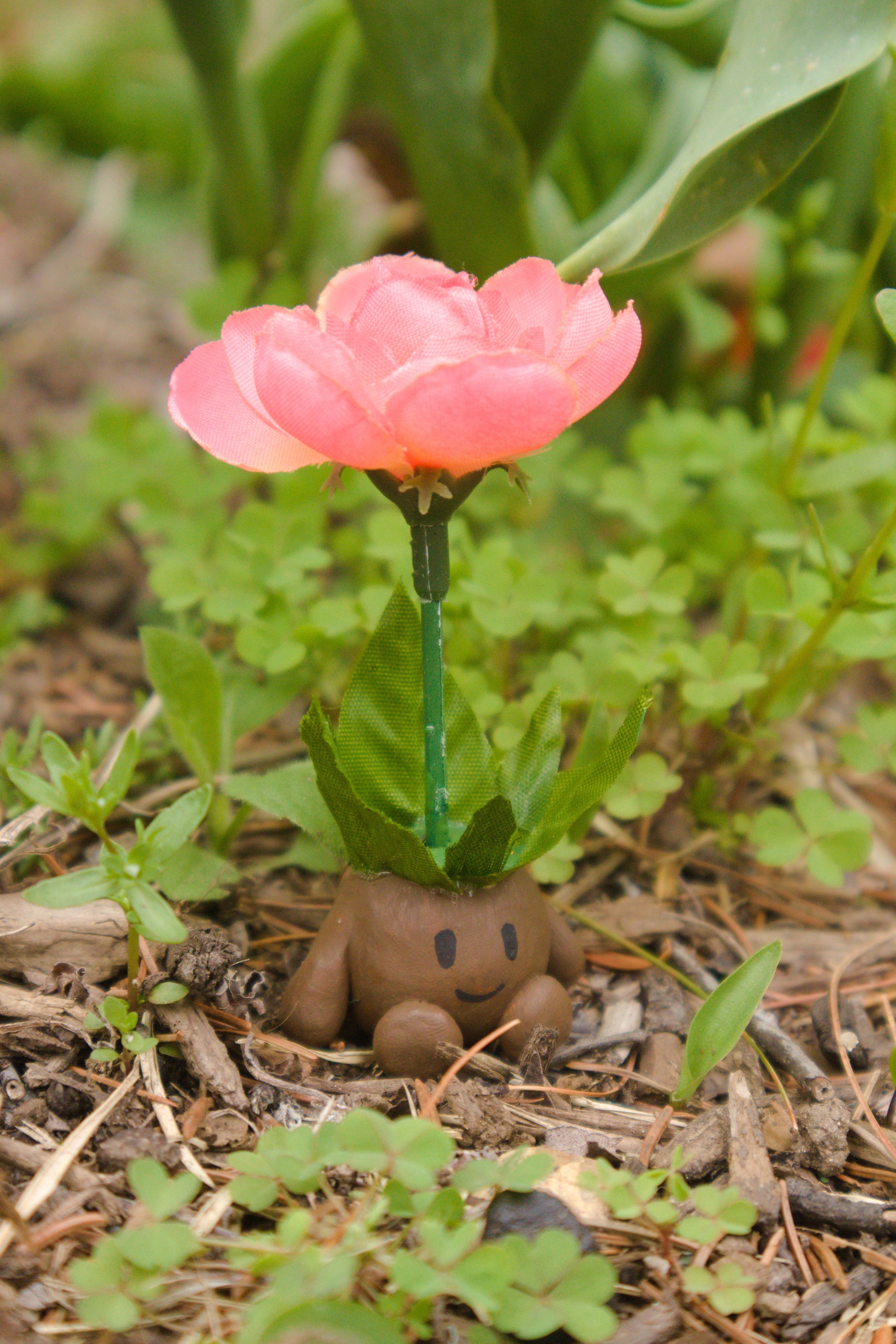 Bloombul in Clovers 8x10