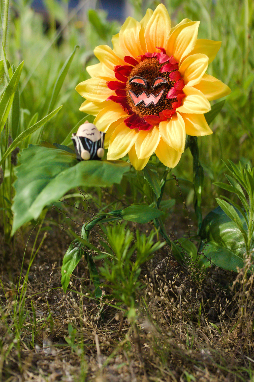 Sunscowler Holding Sunsee in Tall Grass 8x10