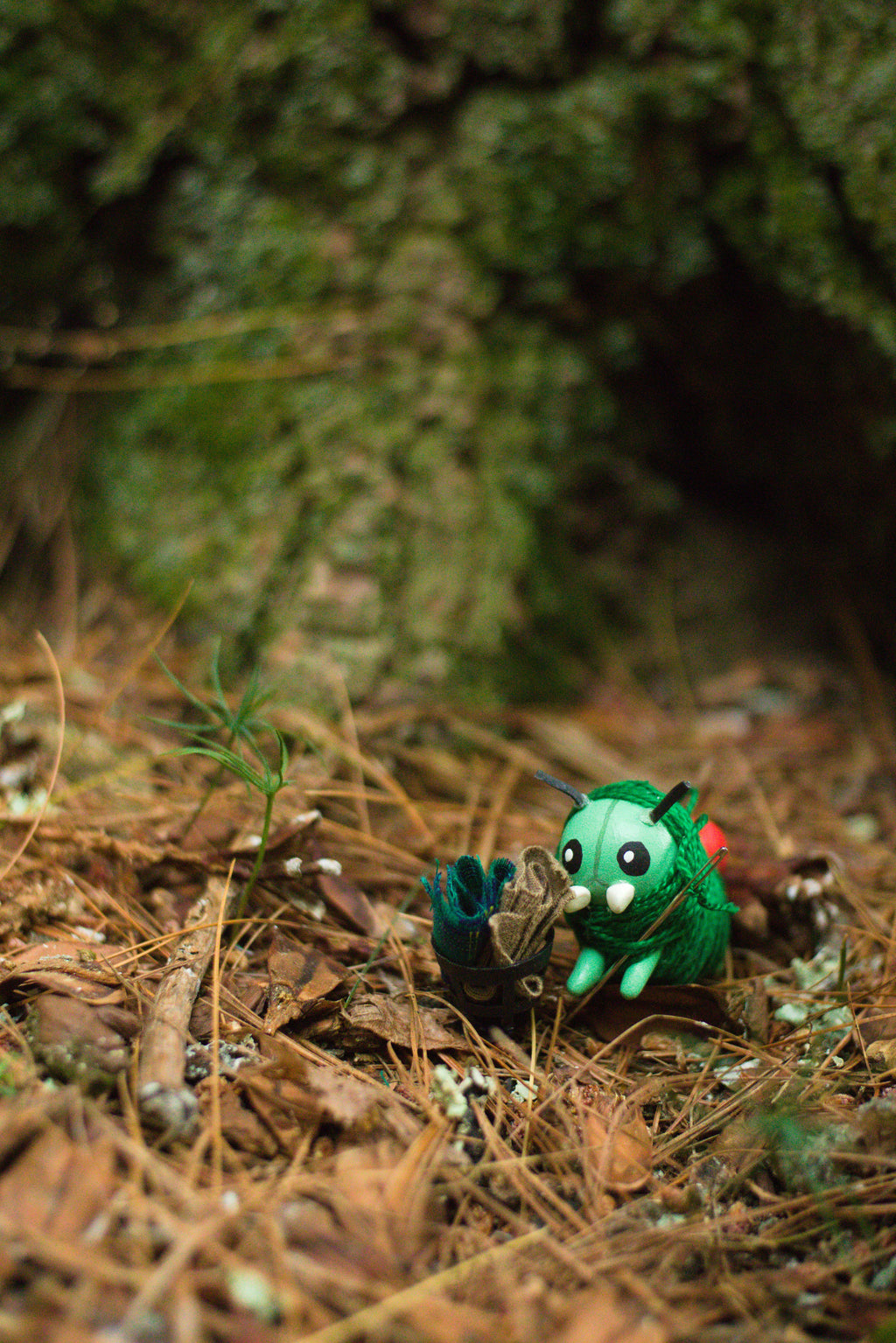 Summer Forest Collection Postcards