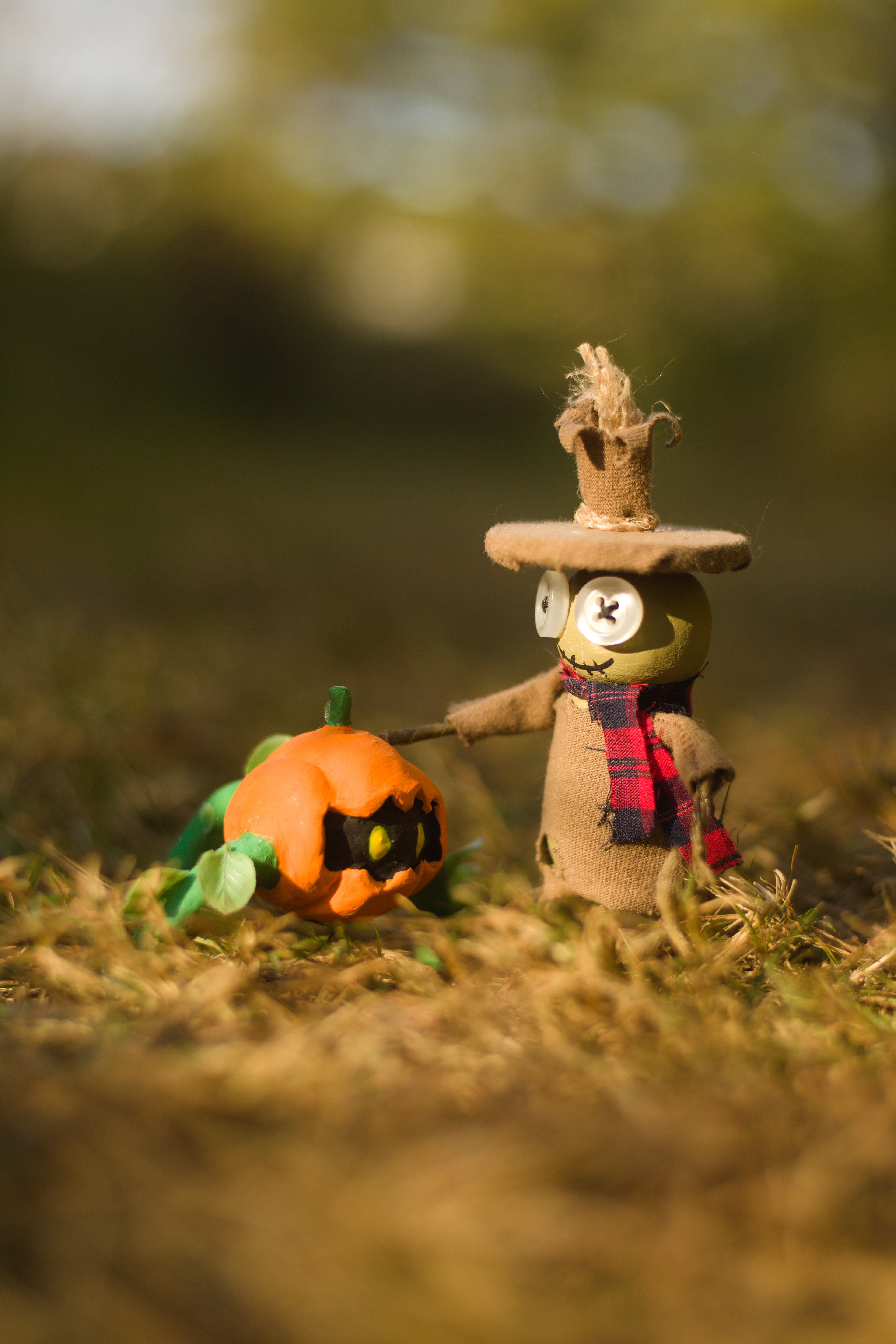 Autumn Collection Postcards