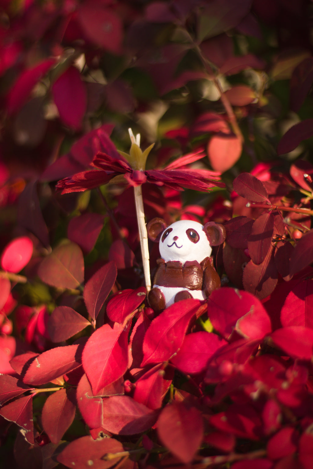 Autumn Collection Postcards