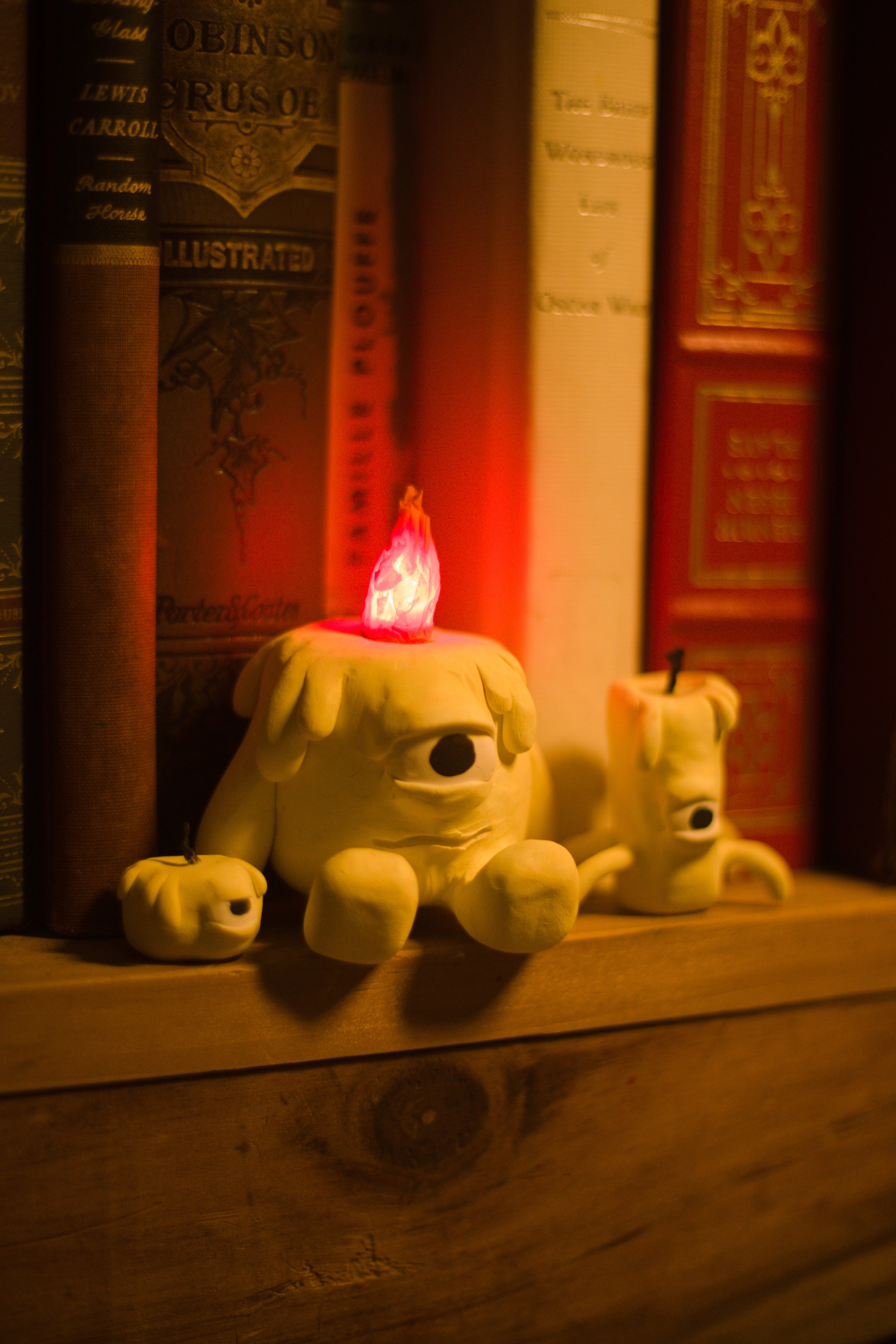 Waxlops in the Library 8x10