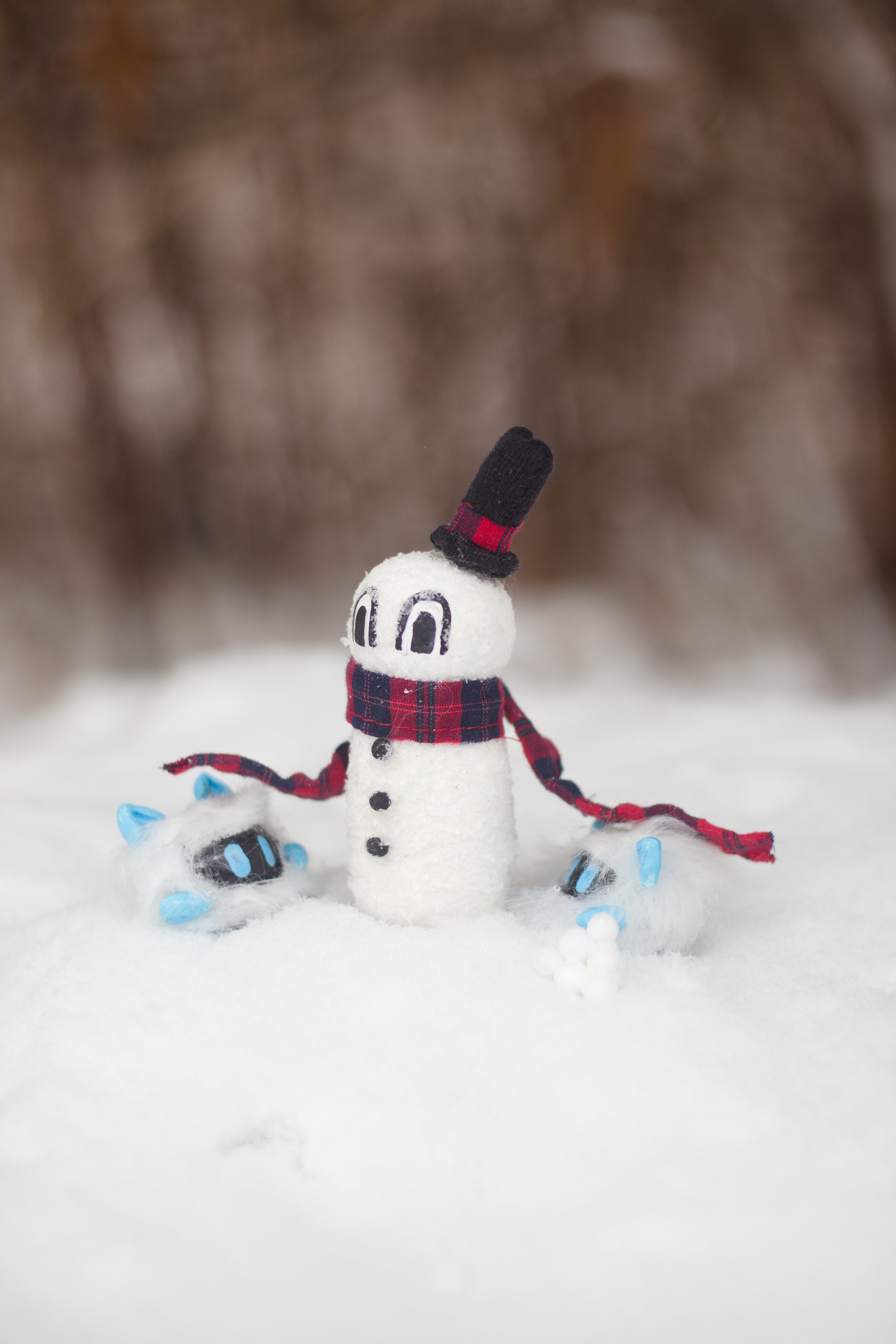 Winter Collection Postcards