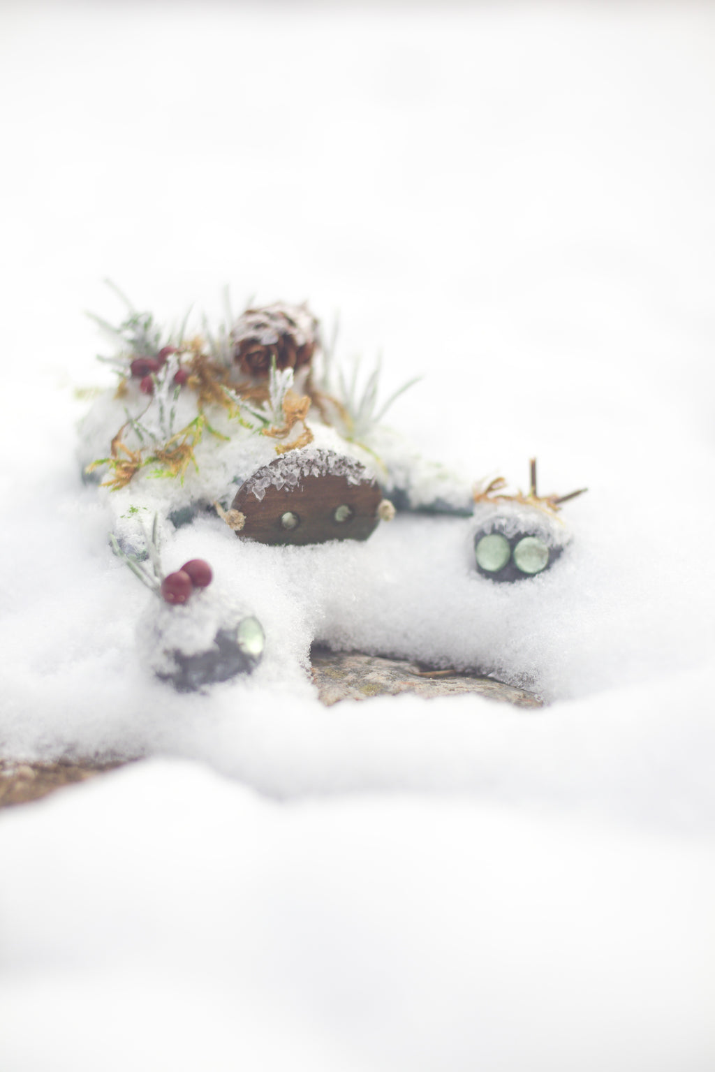 Winter Collection Postcards