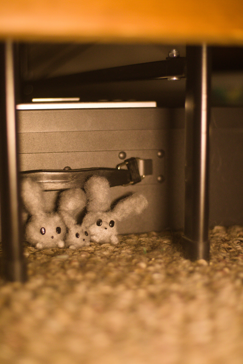 A Family of Rabbusts Hiding 8x10