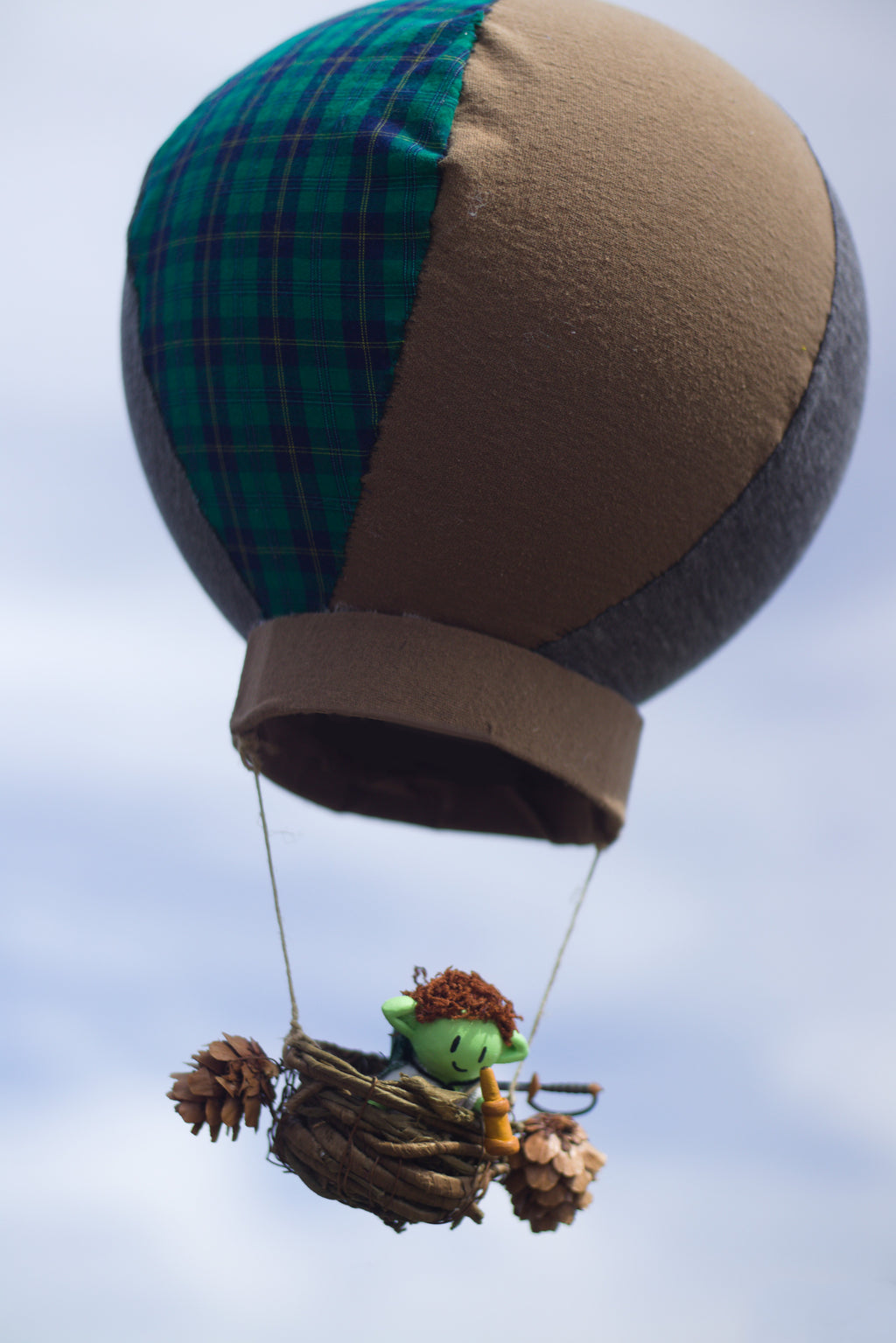 Clove Soaring High in Hot Air Balloon 8x10