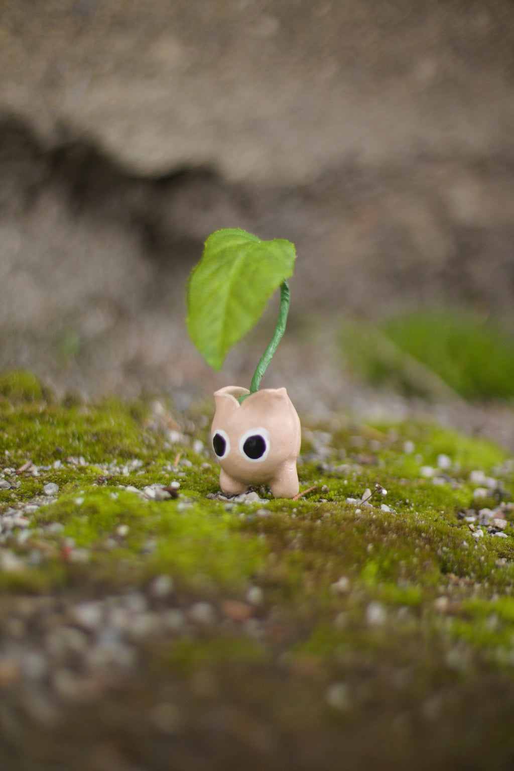 Summer Forest Collection Postcards