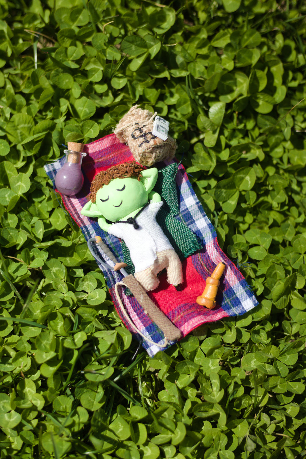 Clove Resting Atop Clovers 8x10