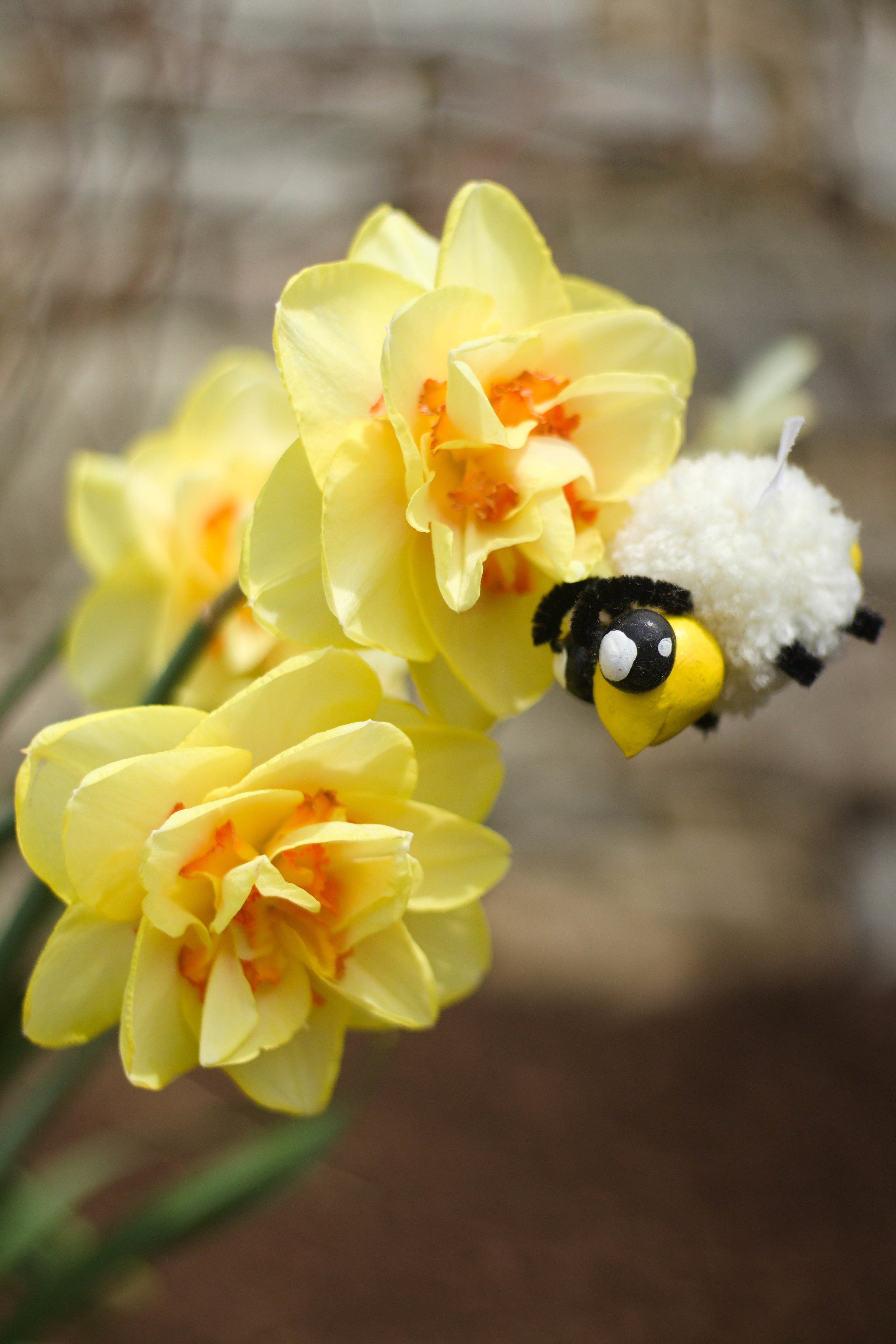 Spring Collection Postcards