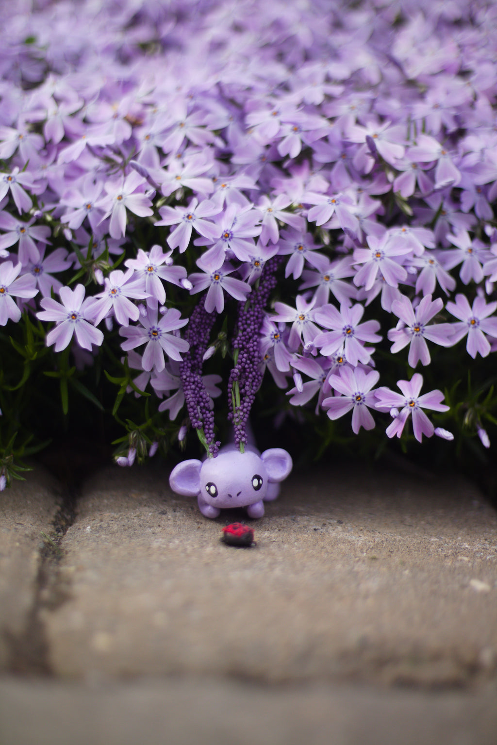 Spring Collection Postcards