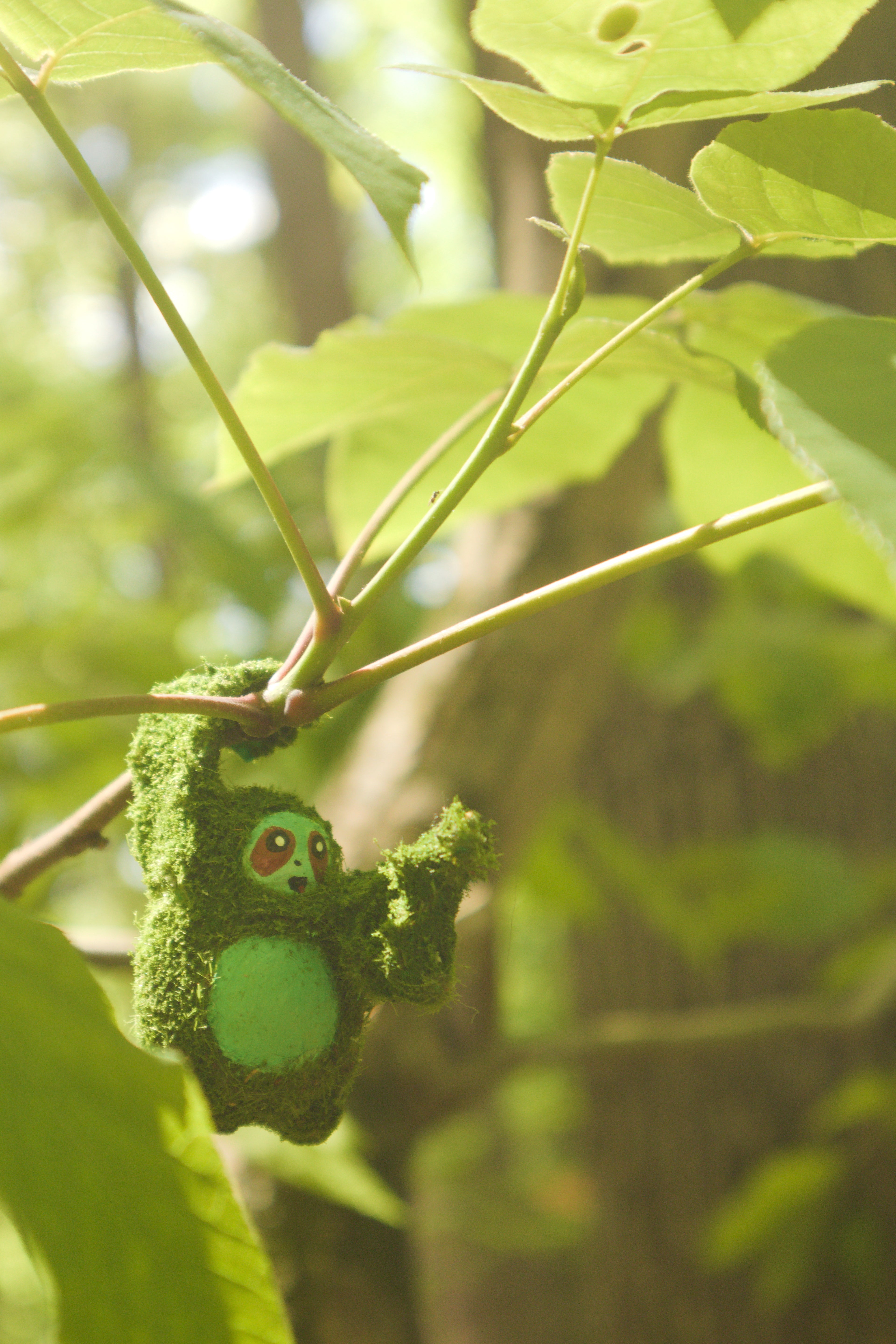 Scarvloth Points the Way 8x10