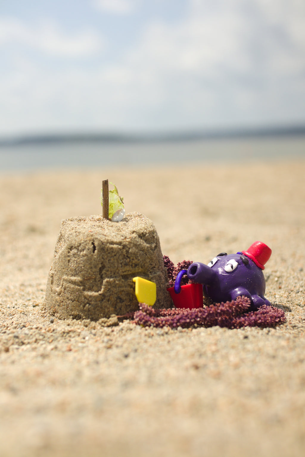 Tentasculpt Builds a Sandcastle 8x10