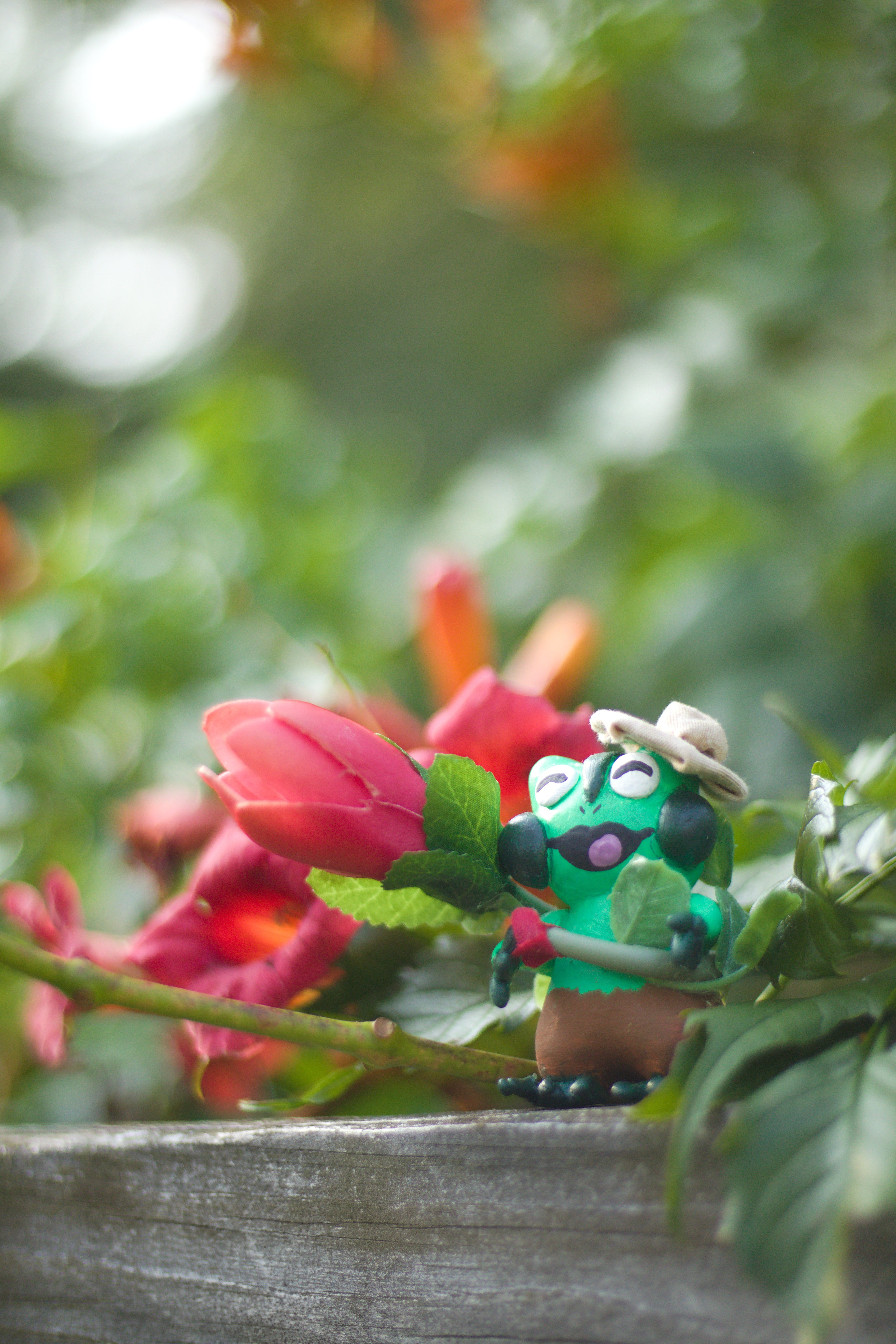 Sousatoed Playing with Trumpet Flowers 8x10