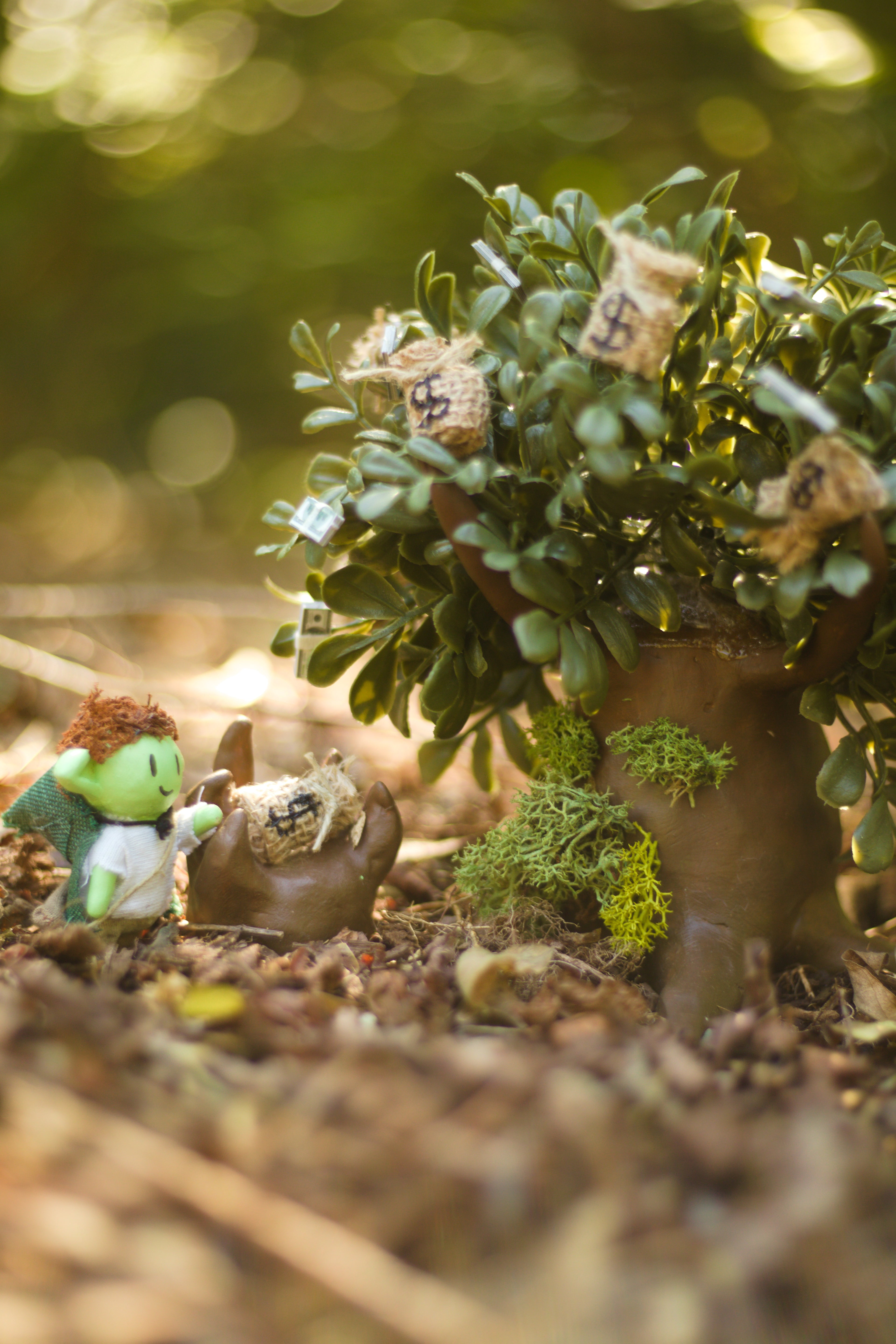 Clove Receives a Blessing from the Great Tomiki Tree 8x10