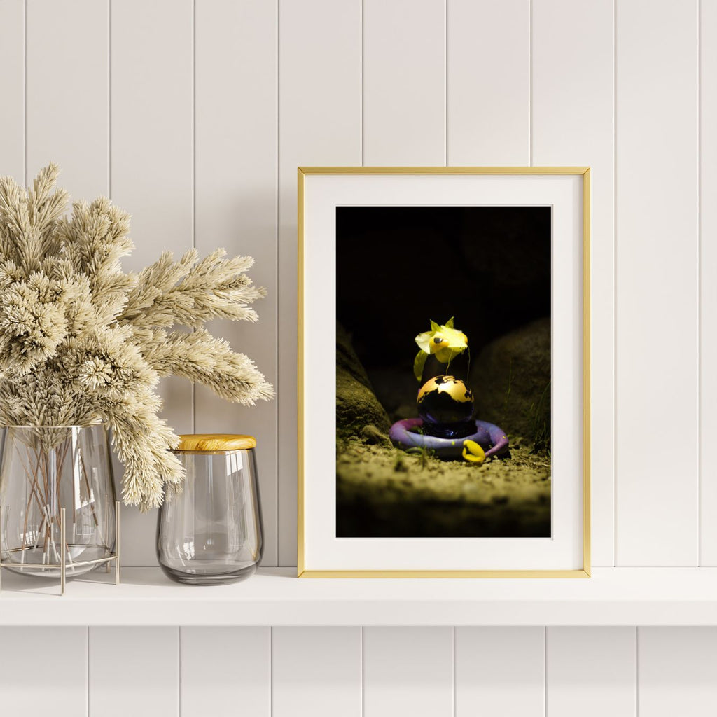 Starvern Casting Judgement 8x10