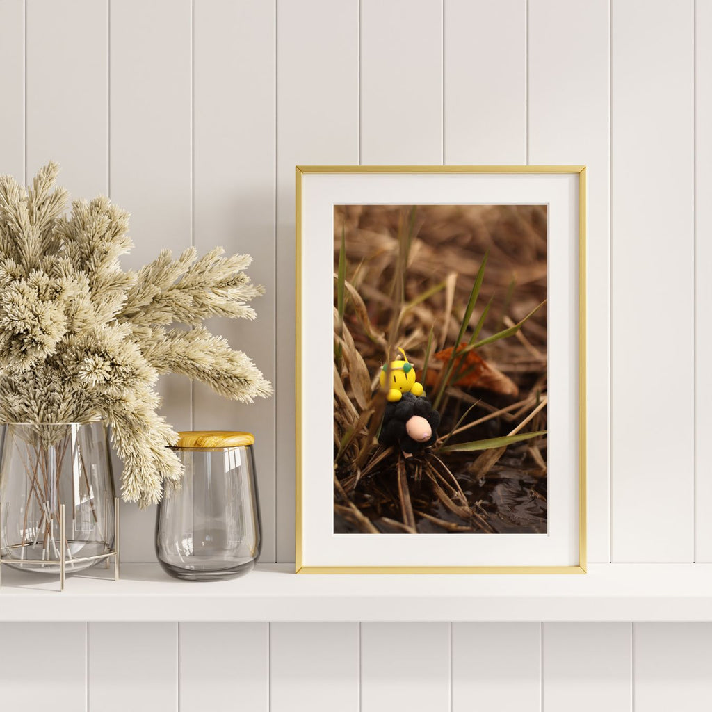 Thundeep and Sparkling Emerge After Storm 8x10